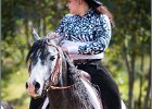 MP Stable24